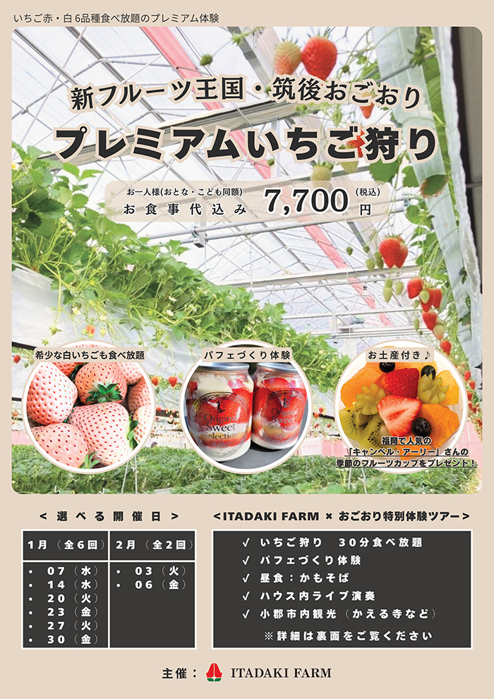 新フルーツ王国・筑後おごおり★プレミアムいちご狩りツアー2026チラシ裏面