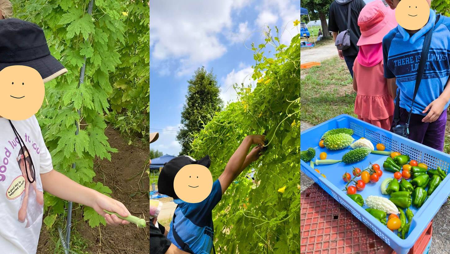 いただきファームの収穫体験