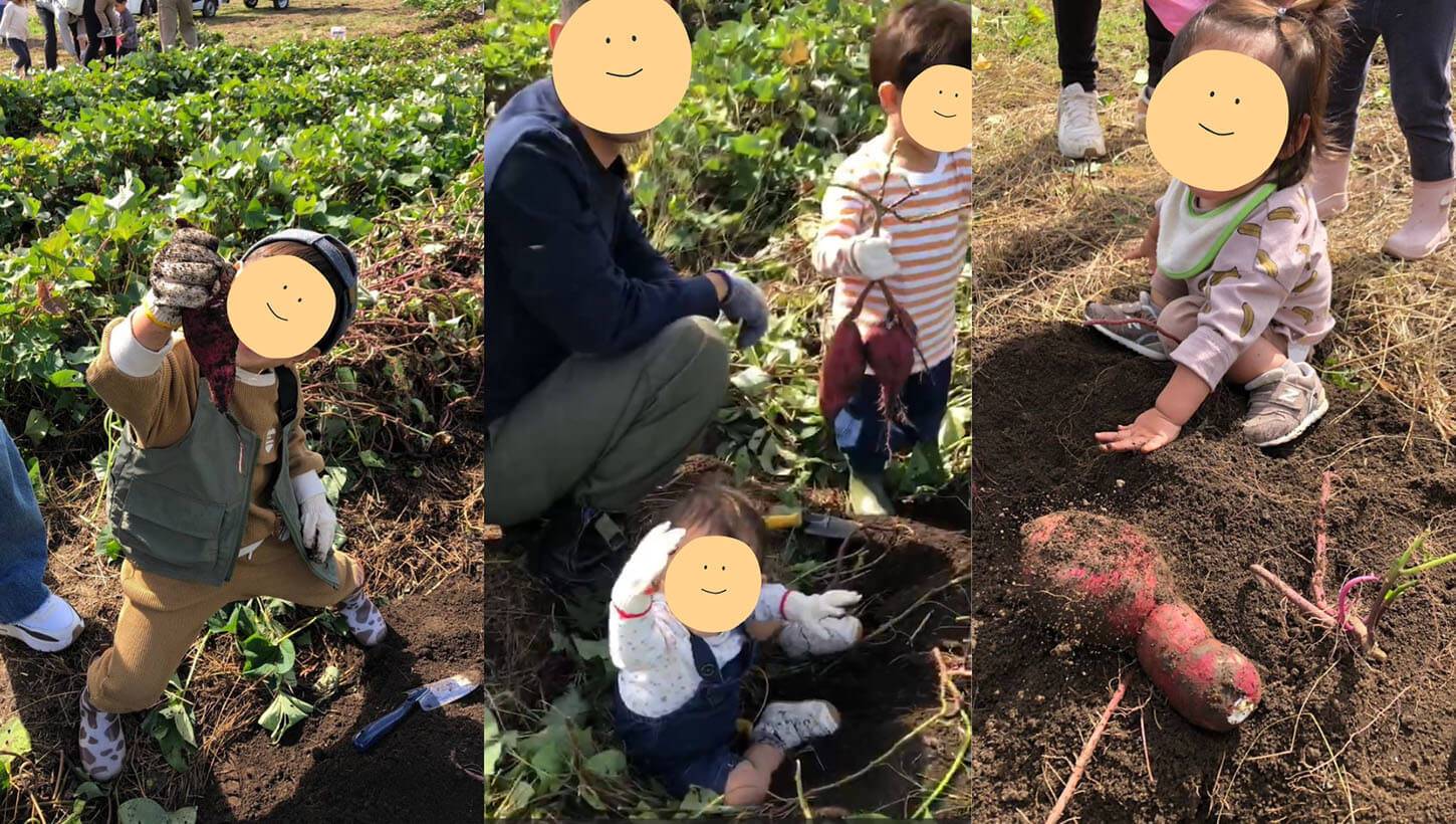 いただきファームの空を飛ぶいちごたち