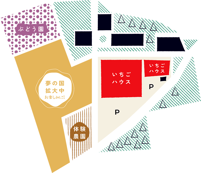 ※いただきファーム農園