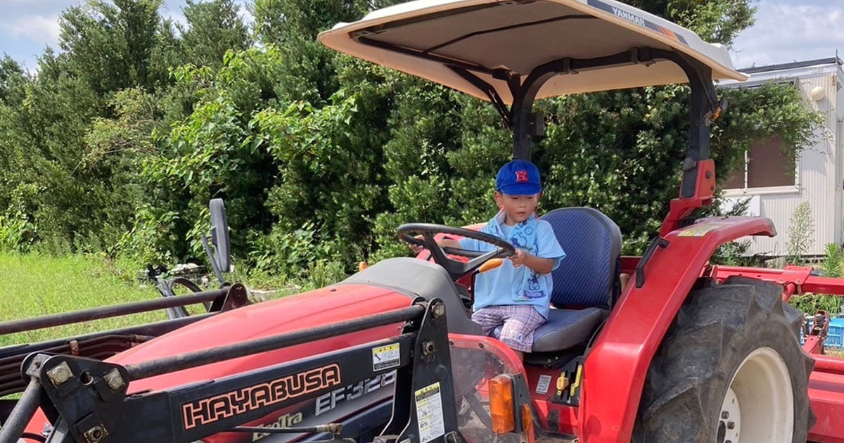 お野菜の収穫体験