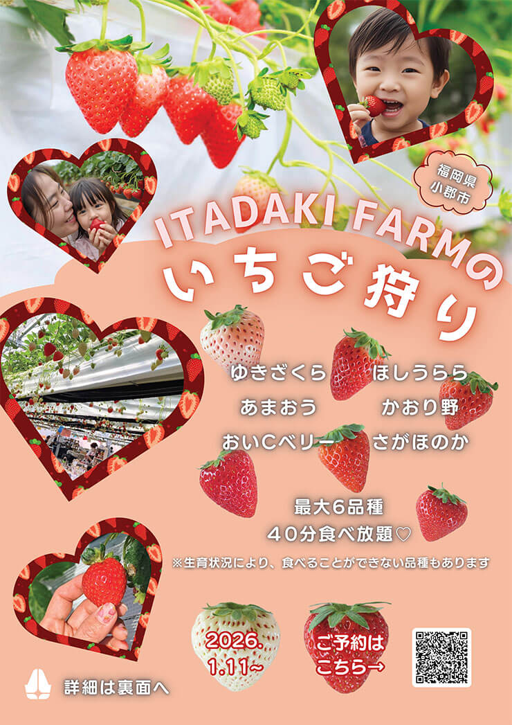 ITADAKIFARMのいちご狩り2026年チラシ